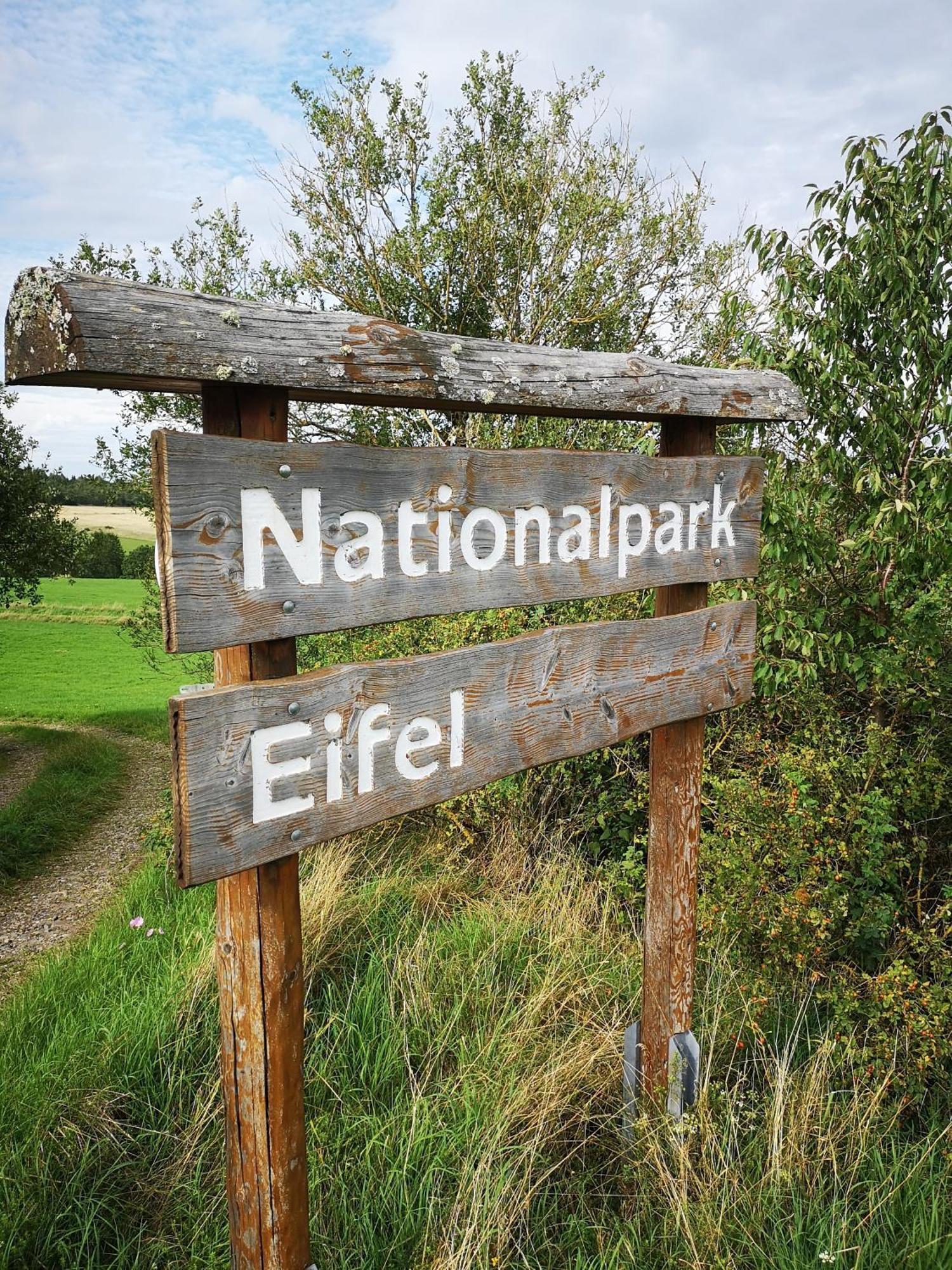 Ferienwohnung In Waldrandlage In Nationalpark Schleiden / Eifel Luaran gambar