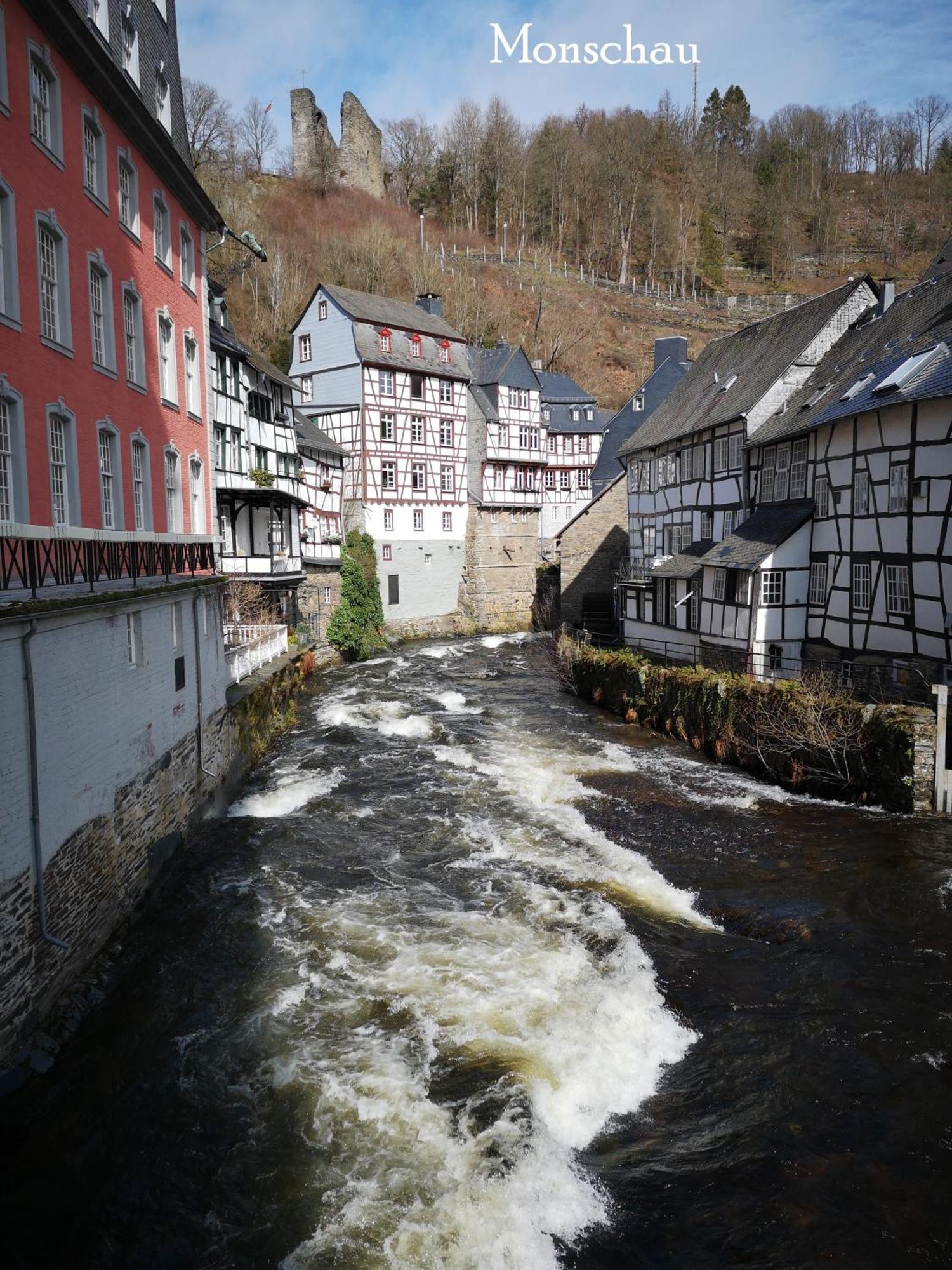 Ferienwohnung In Waldrandlage In Nationalpark Schleiden / Eifel Luaran gambar