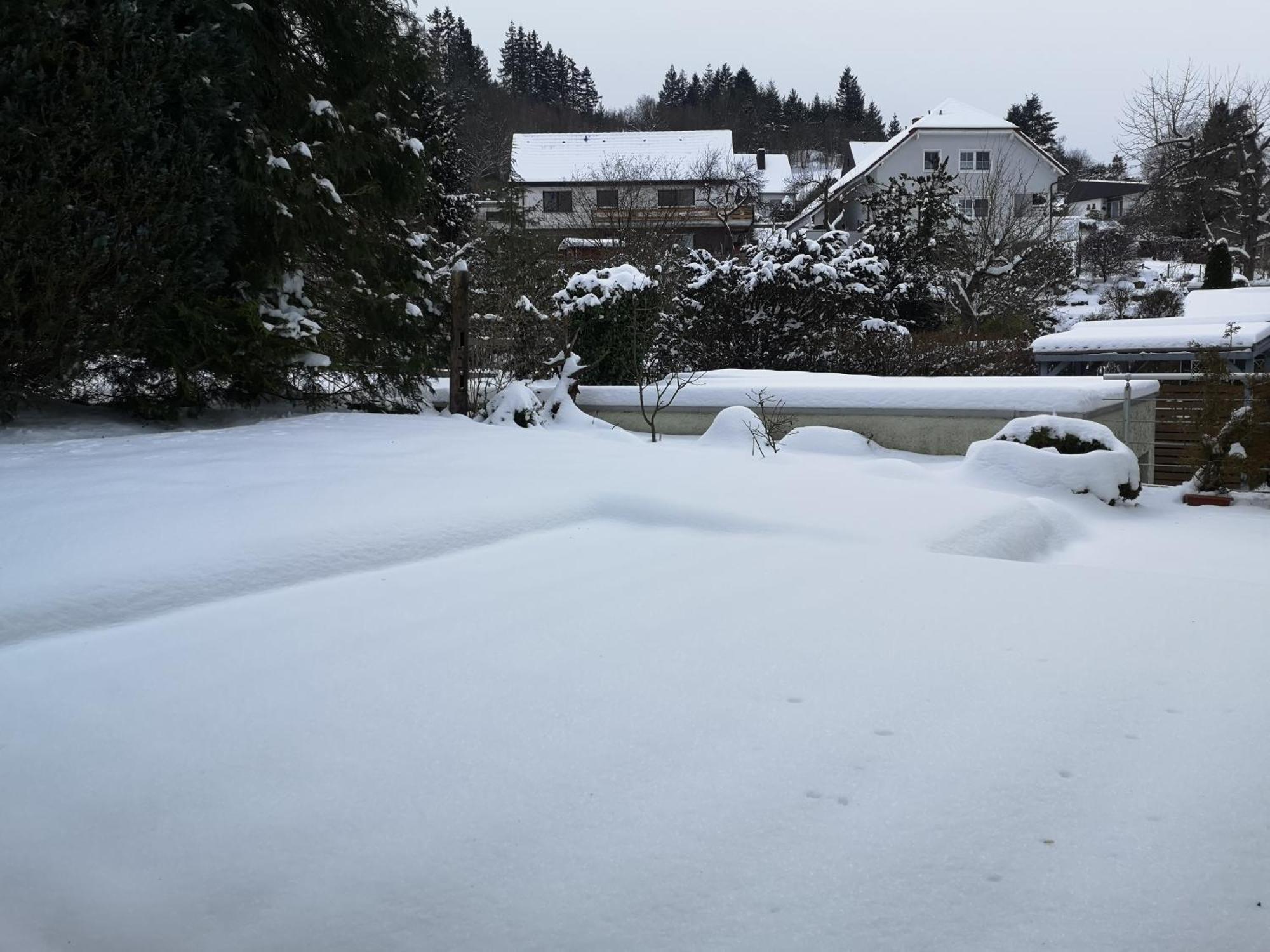Ferienwohnung In Waldrandlage In Nationalpark Schleiden / Eifel Luaran gambar