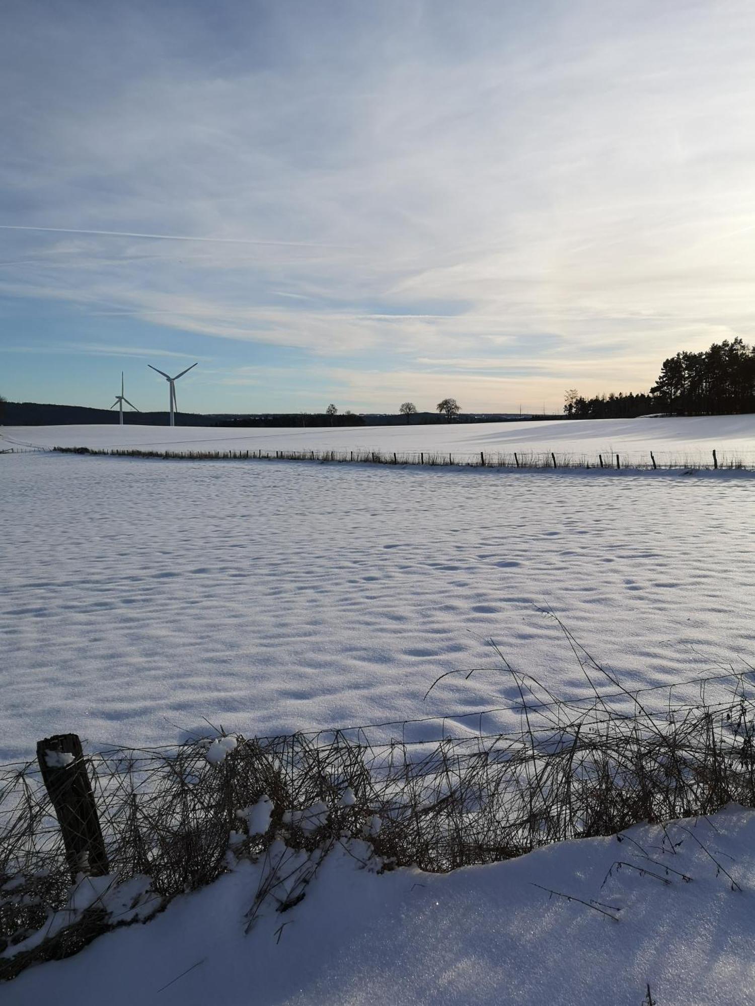Ferienwohnung In Waldrandlage In Nationalpark Schleiden / Eifel Luaran gambar