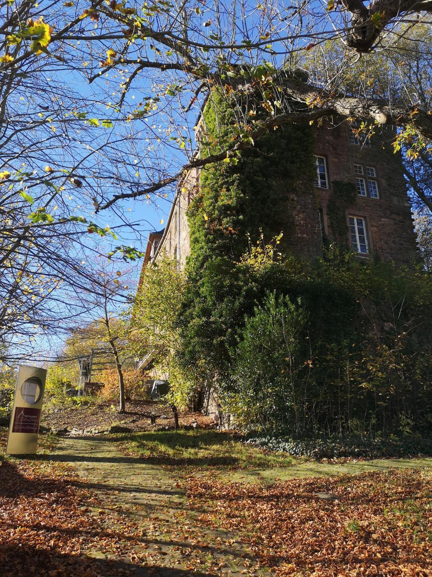 Ferienwohnung In Waldrandlage In Nationalpark Schleiden / Eifel Luaran gambar