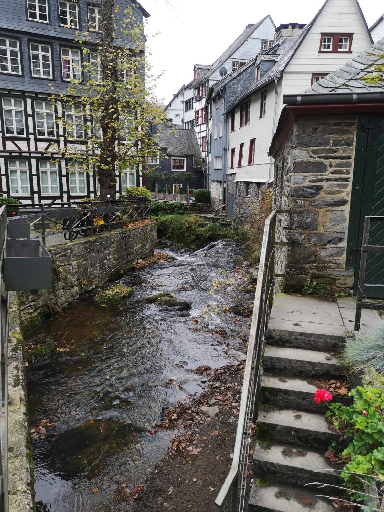 Ferienwohnung In Waldrandlage In Nationalpark Schleiden / Eifel Luaran gambar