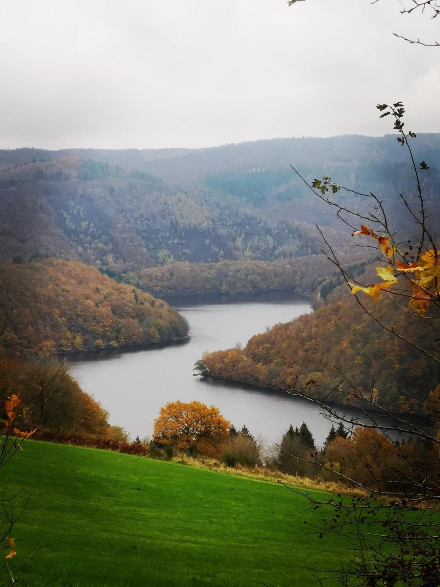 Ferienwohnung In Waldrandlage In Nationalpark Schleiden / Eifel Luaran gambar